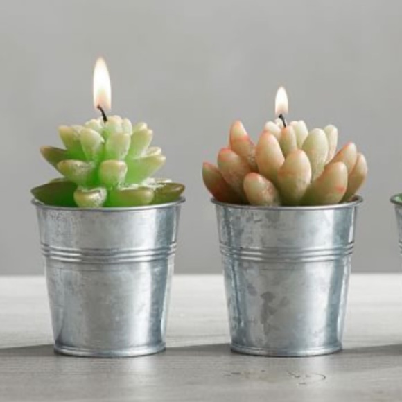 ***SOLD***Pottery Barn succulent candle set